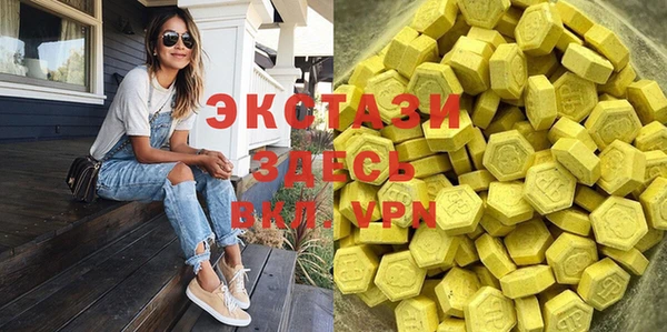 индика Абаза