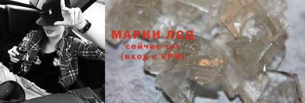 индика Абаза