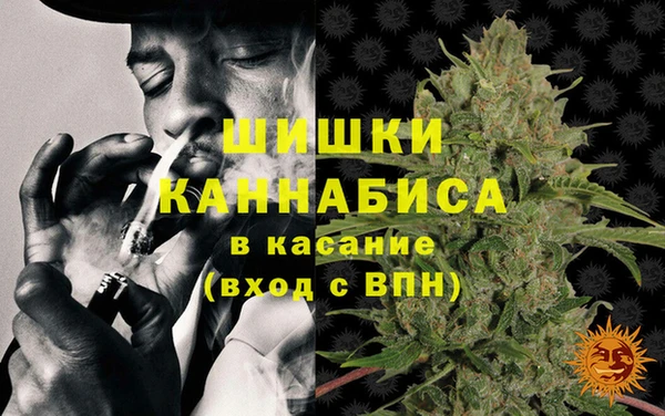 индика Абаза