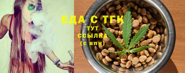 индика Абаза