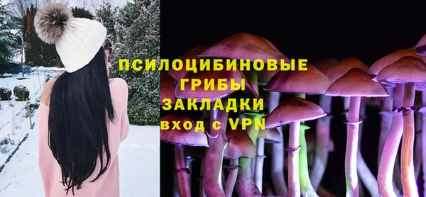 PSILOCYBIN Абдулино