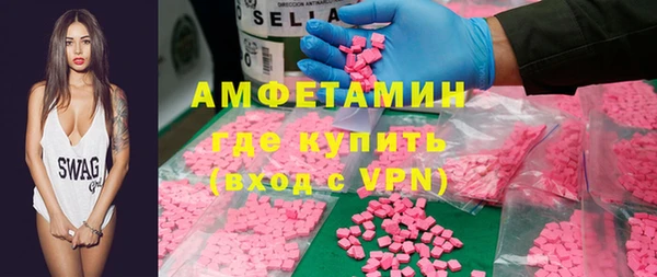 индика Абаза