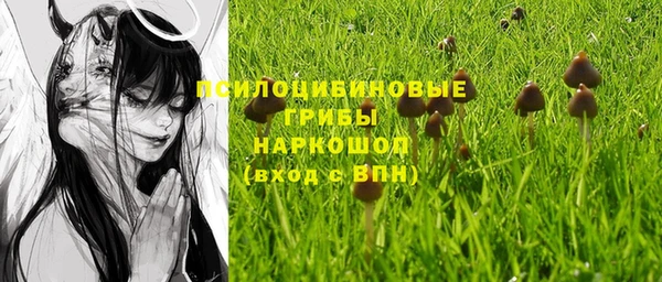 spice Нея